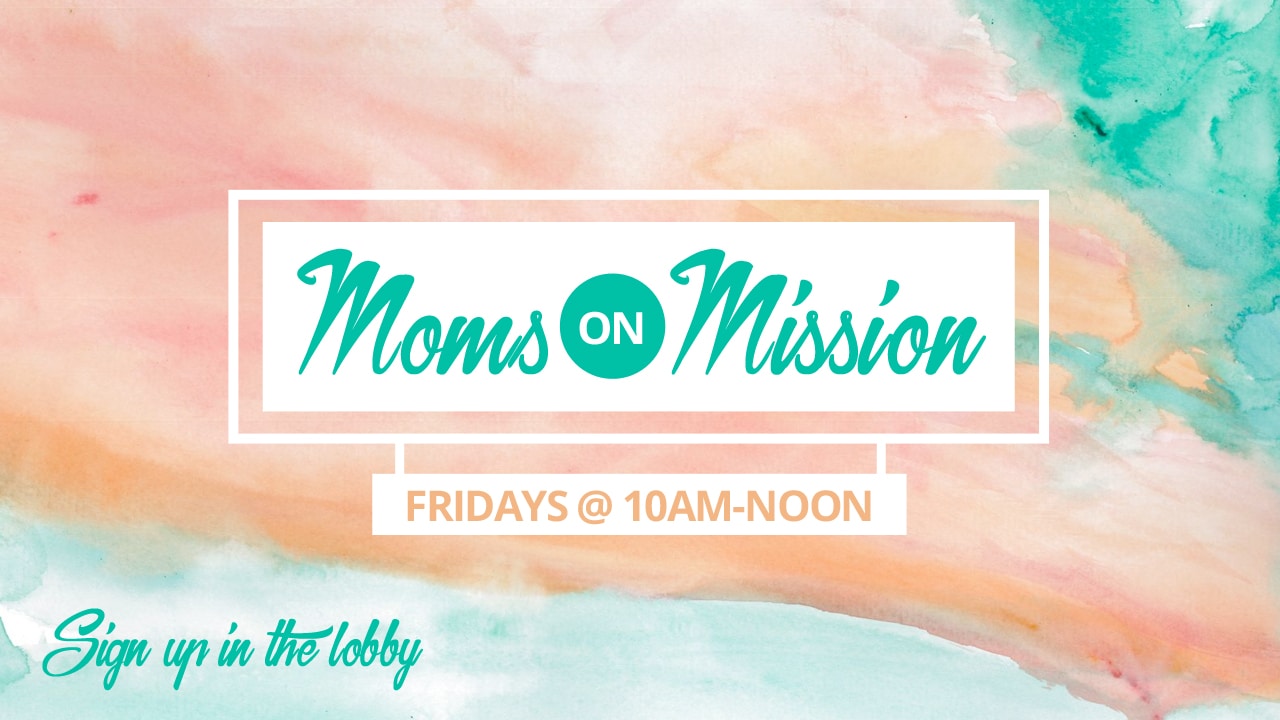 Mission Statement Teen Moms Is 28